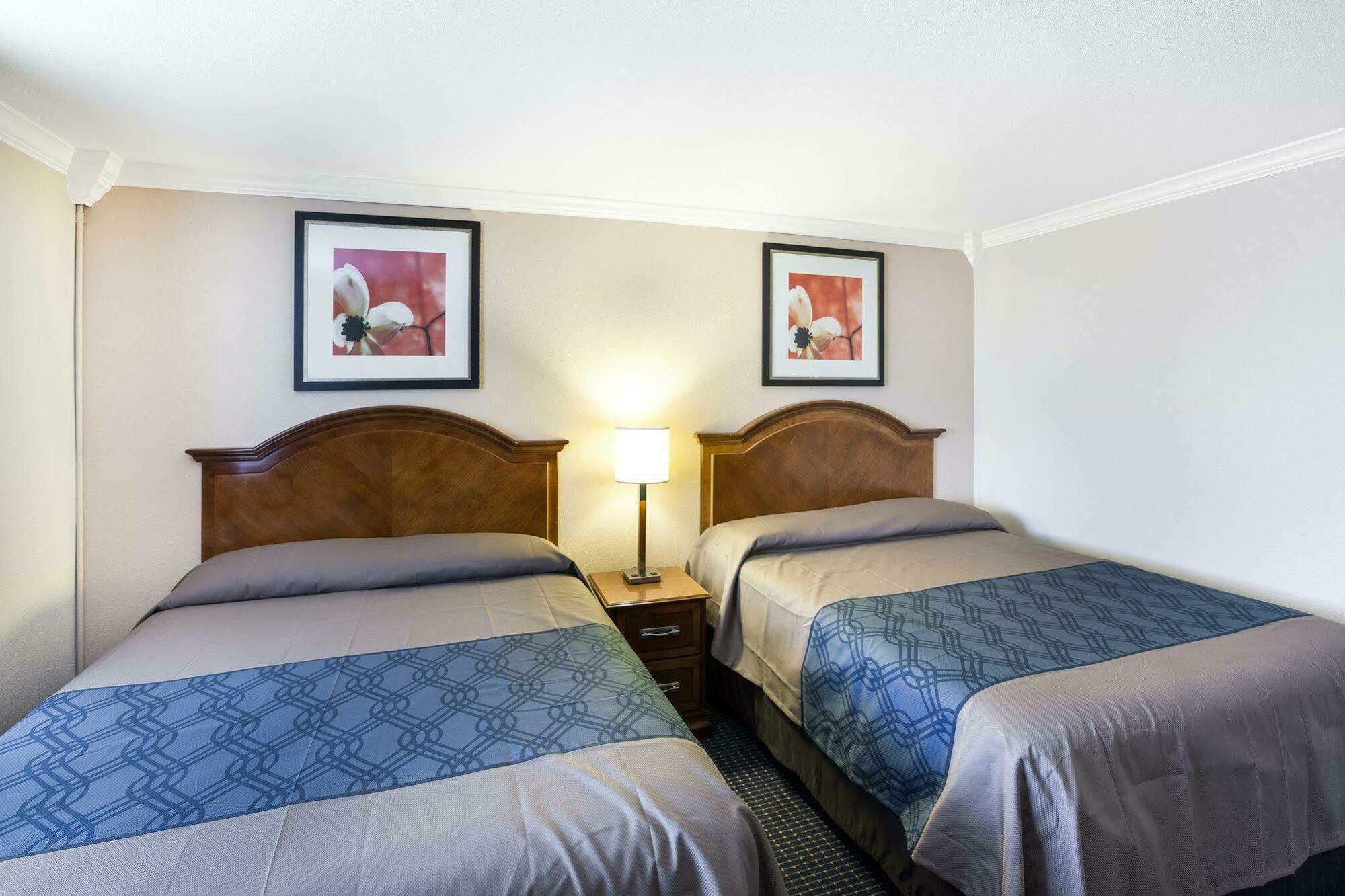 University Inn & Suites 샌안토니오 외부 사진